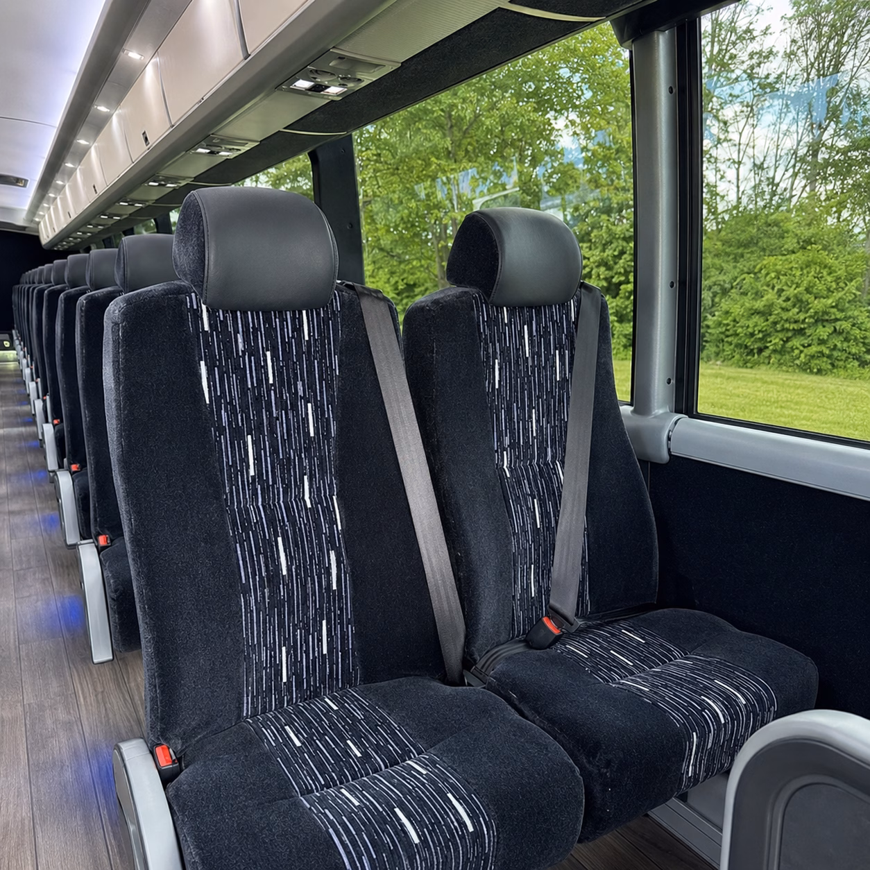 compare group transportation in davis in one search